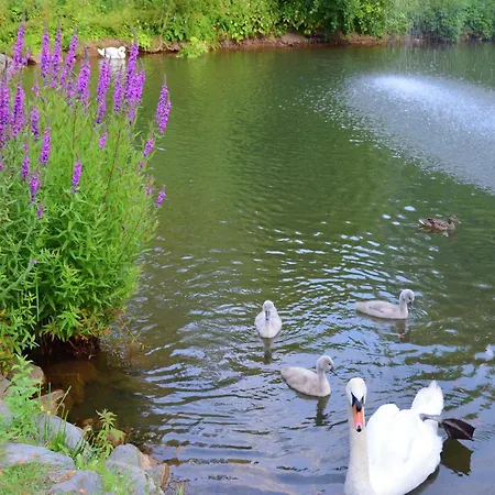 Apartment Farm Situated Next To The Kellerwald Edersee National Park With A Sunbathing Lawn