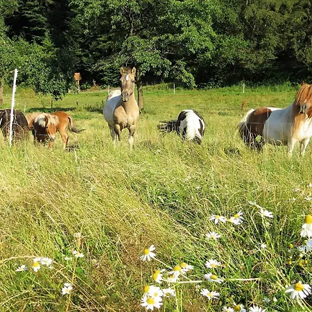 Farm Situated Next To The Kellerwald-edersee National Park With A Sunbathing Lawn شقة