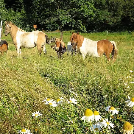 公寓 Farm Situated Next To The Kellerwald Edersee National Park With A Sunbathing Lawn *