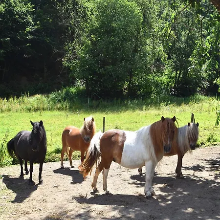 Διαμέρισμα Farm Situated Next To The Kellerwald-edersee National Park With A Sunbathing Lawn
