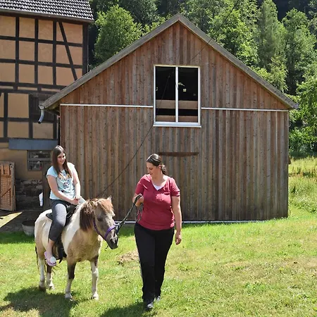 Appartamento Farm Situated Next To The Kellerwald-edersee National Park With A Sunbathing Lawn