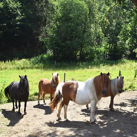 Apartment Farm Situated Next To The Kellerwald-edersee National Park With A Sunbathing Lawn *