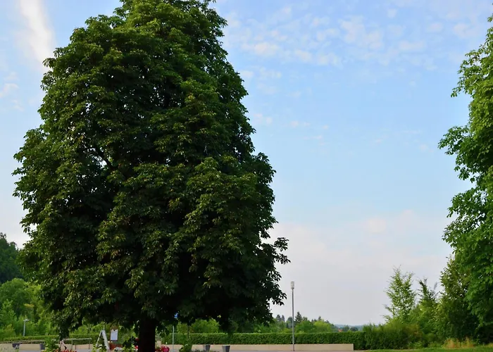 Daire Farm Situated Next To The Kellerwald-edersee National Park With A Sunbathing Lawn *