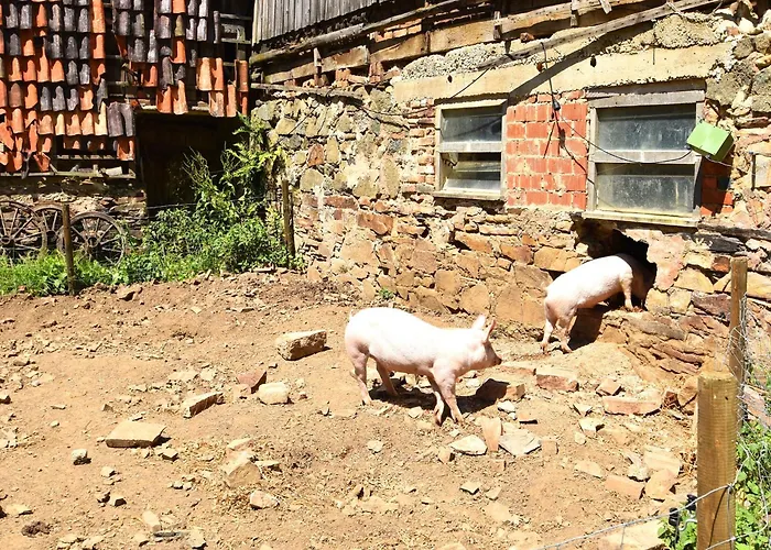 Farm Situated Next To The Kellerwald-edersee National Park With A Sunbathing Lawn Bad Wildungen