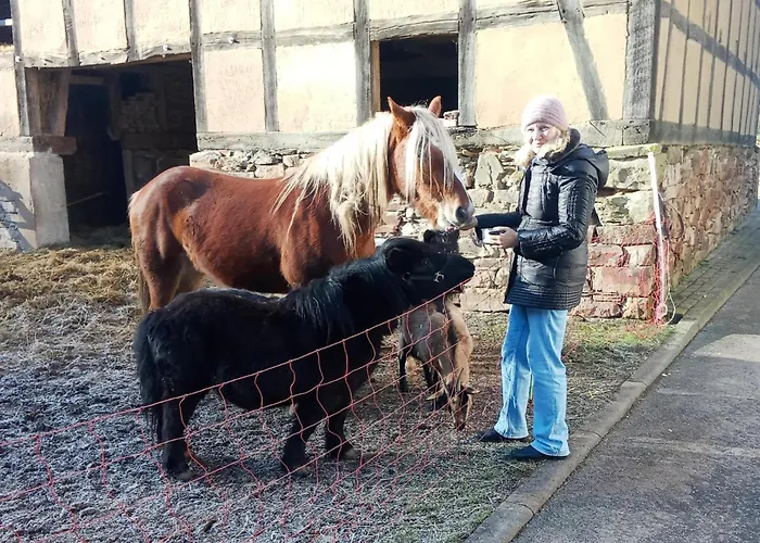 Farm Situated Next To The Kellerwald-edersee National Park With A Sunbathing Lawn