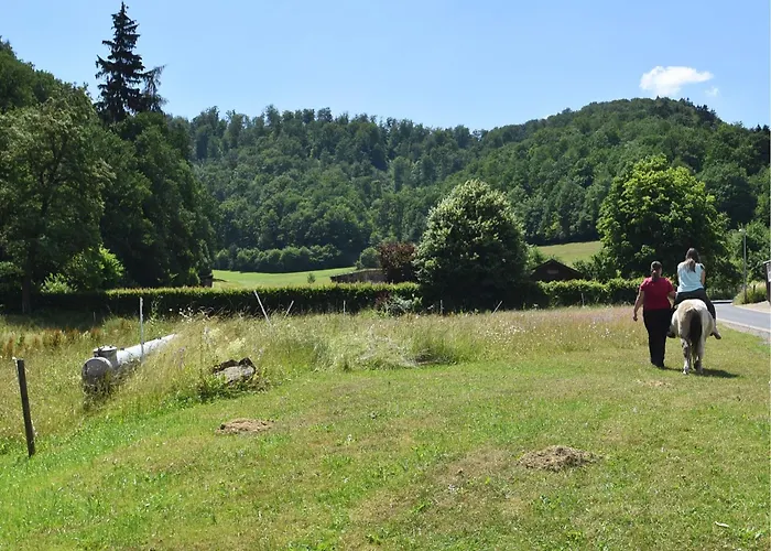 Daire Farm Situated Next To The Kellerwald-edersee National Park With A Sunbathing Lawn