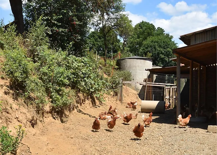 Daire Farm Situated Next To The Kellerwald-edersee National Park With A Sunbathing Lawn Bad Wildungen