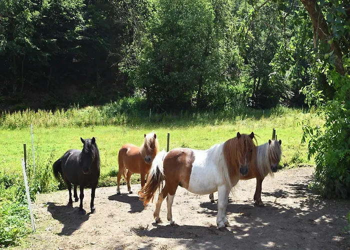 Farm Situated Next To The Kellerwald-edersee National Park With A Sunbathing Lawn דירה *