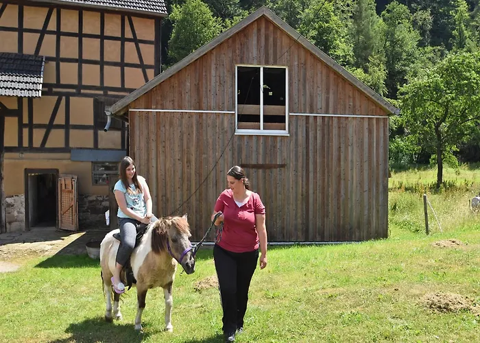 Farm Situated Next To The Kellerwald-edersee National Park With A Sunbathing Lawn *
